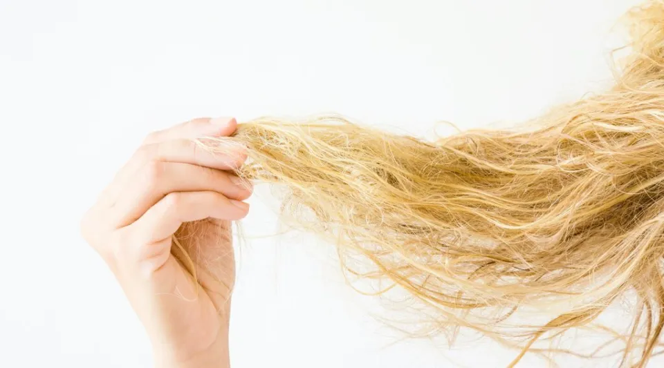 What Does Damaged Hair Look Like? How to Repair Damaged Hair? – SAVE ME FROM